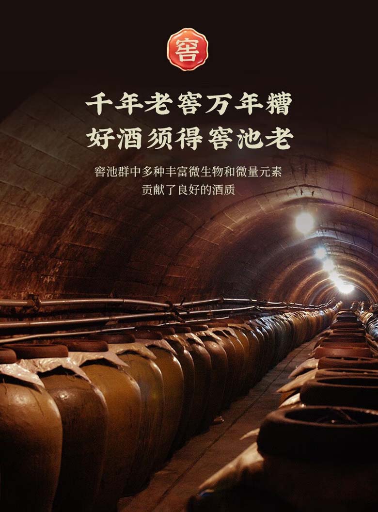 白酒500ML*6瓶五粮液金谷春52%VOL浓香型BJ01-0091_坚朗云采